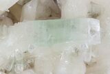 Zoned Apophyllite Crystals on Stilbite Association - India #44445-3